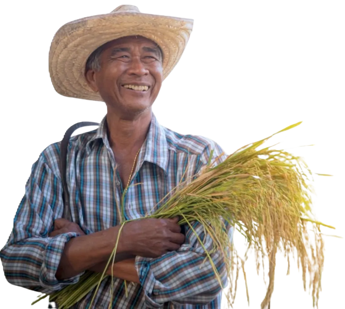 Smart farming asia farmer 5